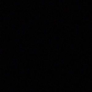 Meet your Posher, Tony